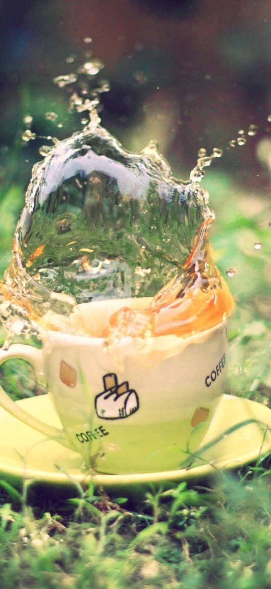 tea, spray, earth, grass, saucer, green, cup