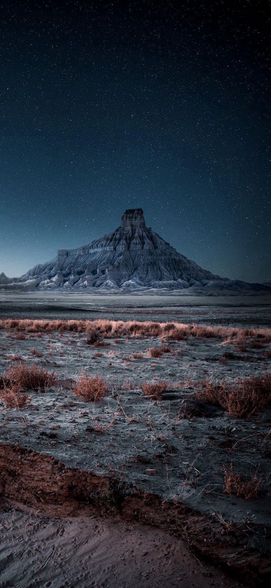 savannah, mountain, hill, plants, starry sky, dawn, landscape