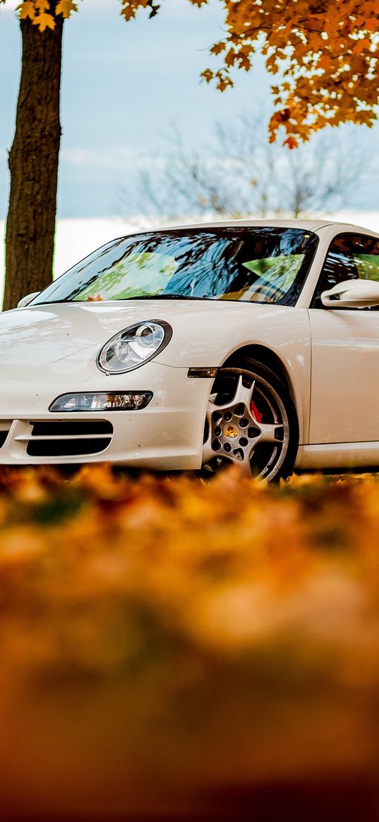 trees, autumn, 911, white, porsche, sky, leaves