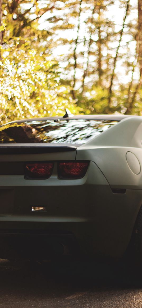 bokeh, chevrolet, camaro, matte, black