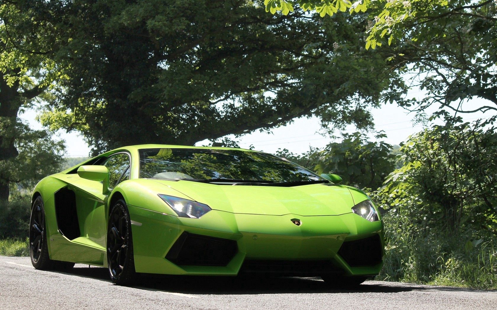 lamborghini, aventador, front view, green, lights, trees, sky