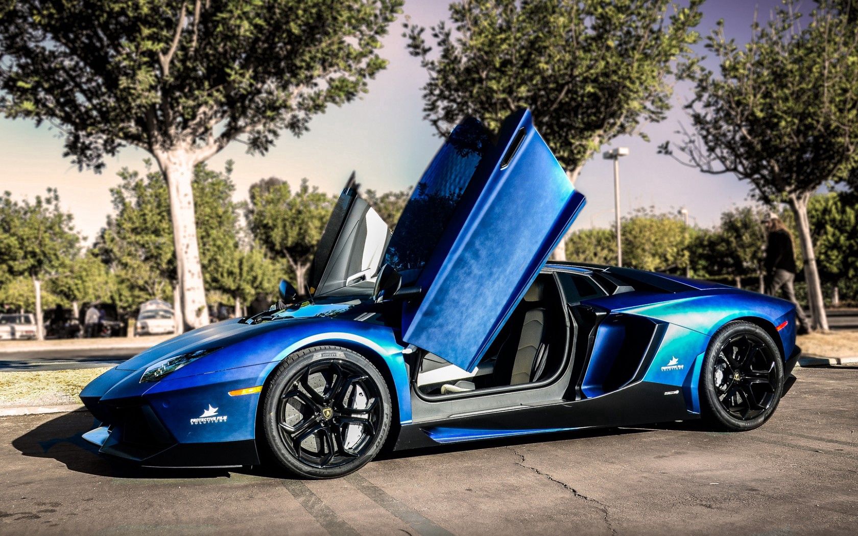 lamborghini, aventador, blue, street, trees