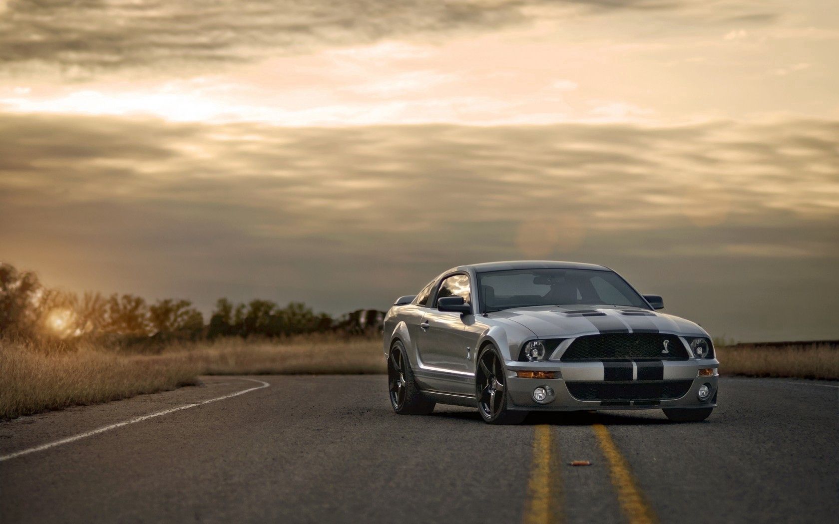 ford, mustang, shelby, silver, muscle car, road, sunset