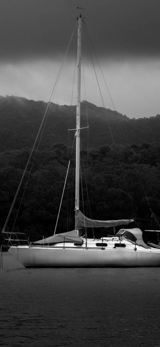 boat, mast, lake, trees, black and white