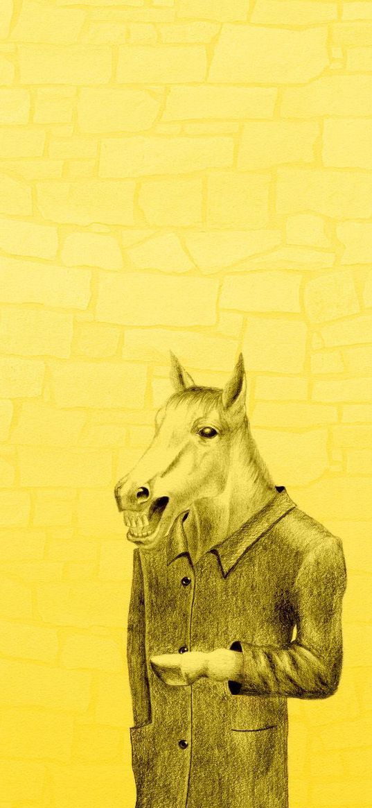 horses coat, yellow background, minimalism