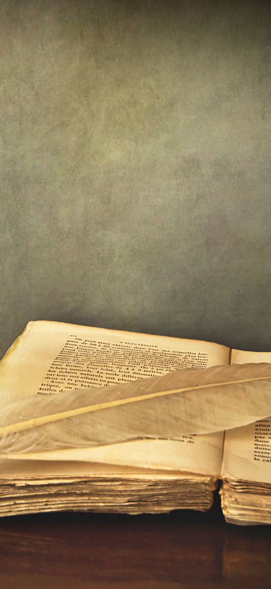 book, old, pen, table, vase, rose, red