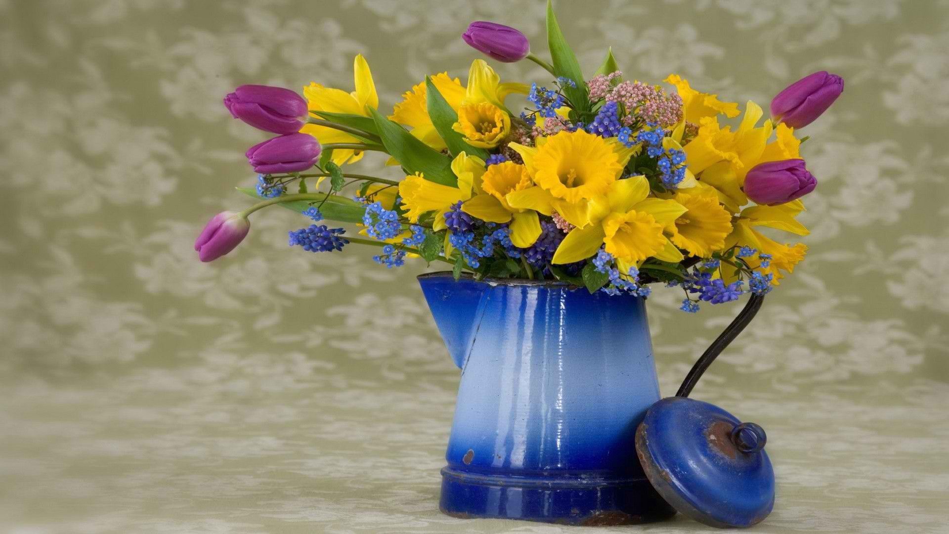 flower, tea, old, colorful, surprise