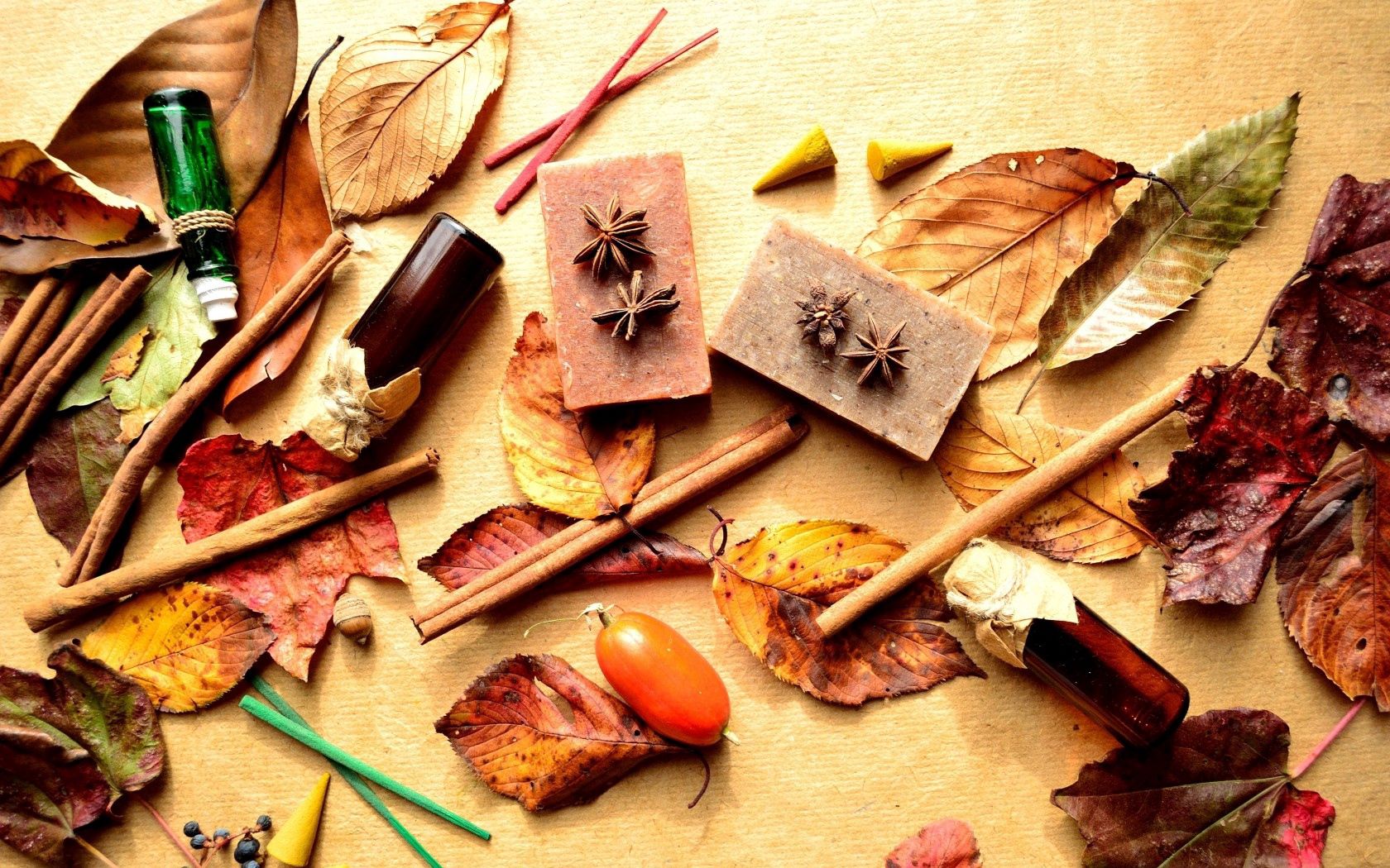 bottles, leaves, berries, cinnamon, barberry