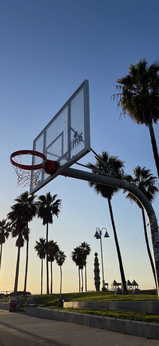 venice beach, summer, basketball, palm trees