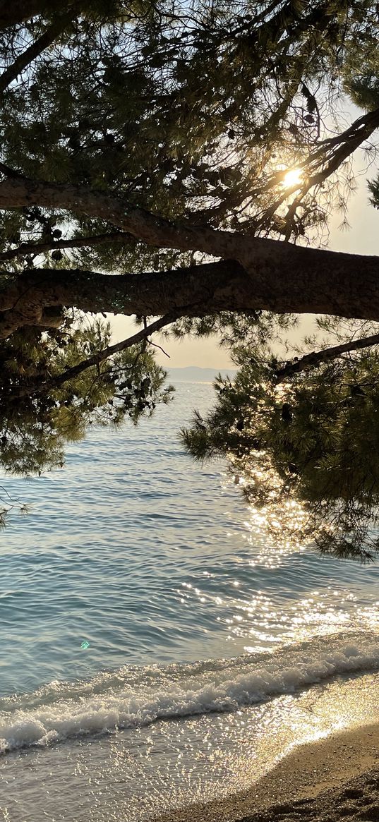 croatia, summer, beach, tree, sand, sea