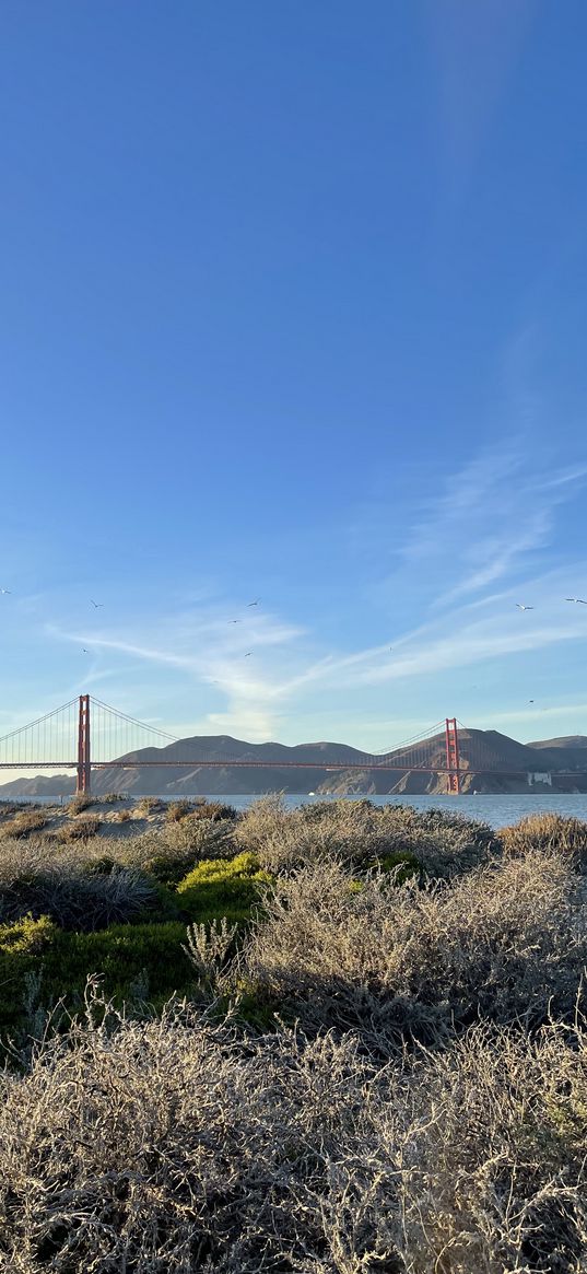 san francisco, golden gate, bridge, nature