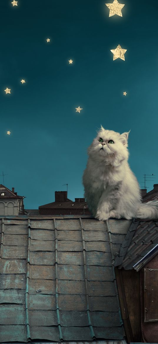 white persian cat, kitten, fairy tale, fantasy, roofs, houses, sky, night, stars, moon