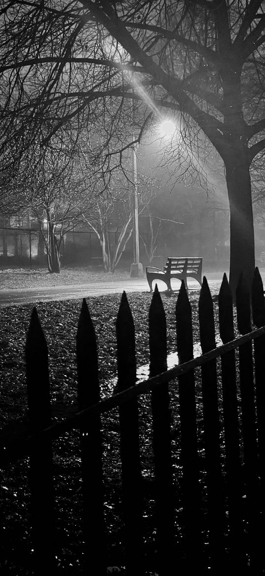 benches, lanterns, fence, trees, park, street, darkness, night