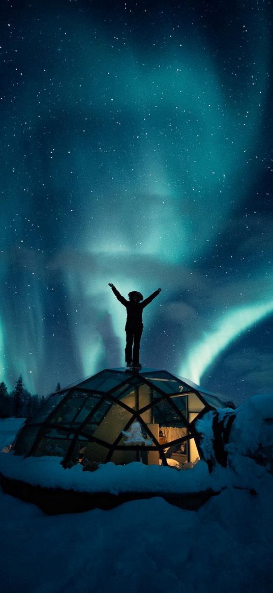 igloo, man, forest, snow, winter, north, northern lights, starry sky, stars, night, nature