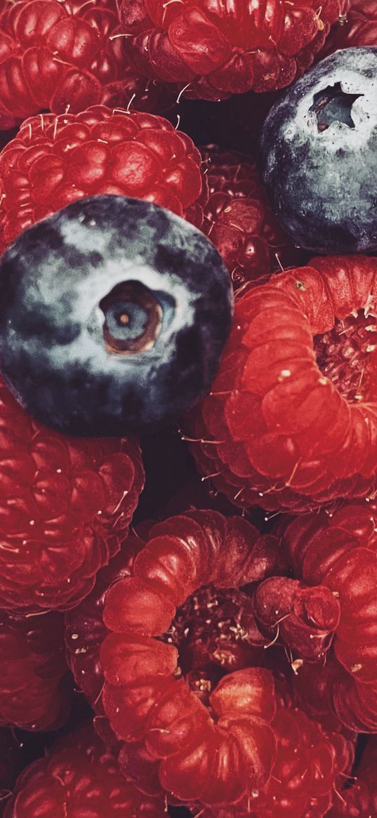 raspberries, blueberries, berries, food