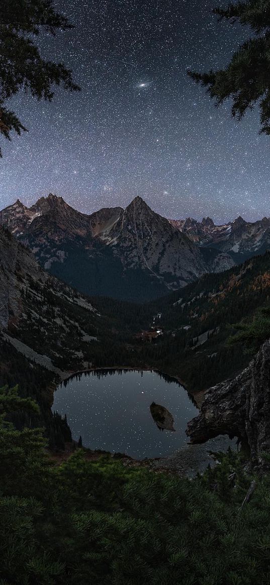 lake, reflection, christmas trees, trees, forest, hills, mountains, valley, starry sky, stars, night, landscape, nature