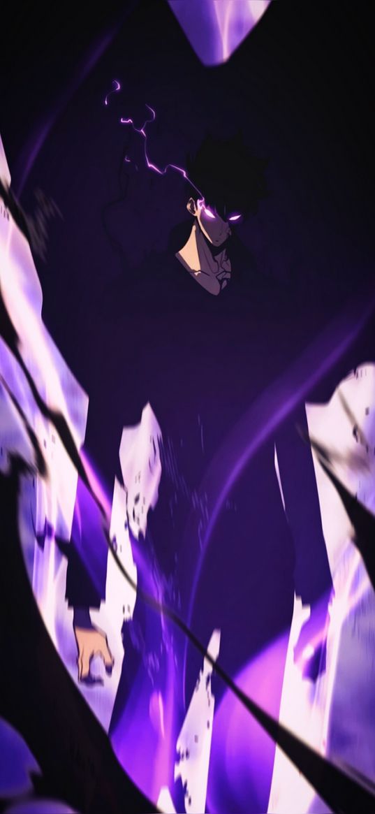 sung jin-woo, solo leveling, anime, guy, magic, purple, art