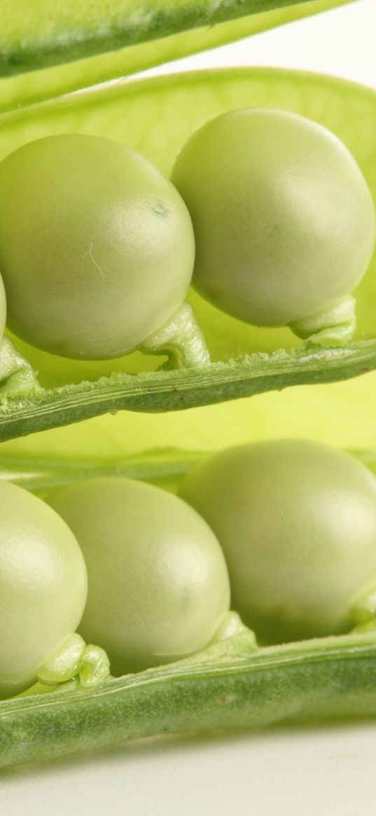 peas, cut, white background, bean