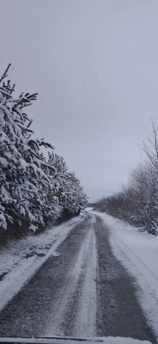 дорога, деревья, снег, лед, зима