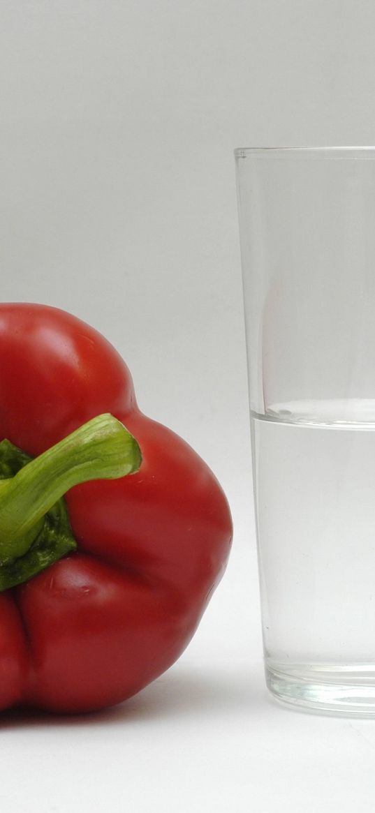 pepper, glass, white background