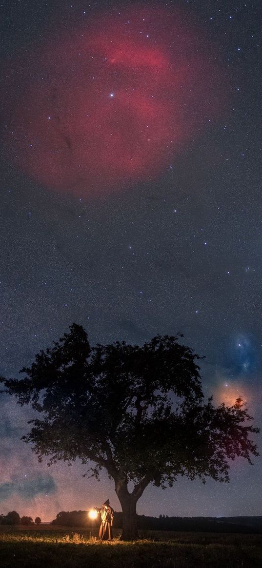 savannah, tree, starry sky, magellanic cloud