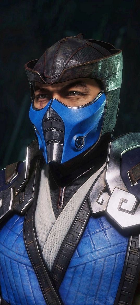 sub-zero, gamer, ninja, mortal kombat, fighter, ice, cold