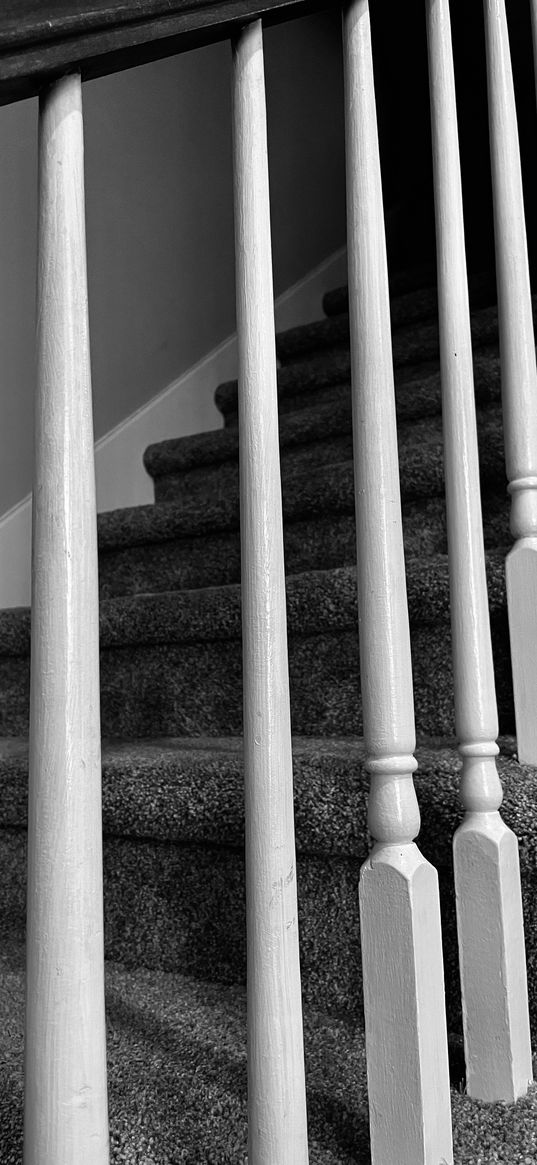 stare, carpet, day, grey