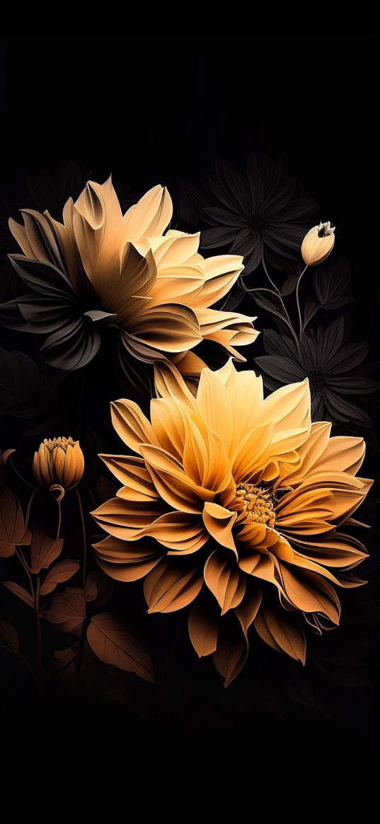 dahlia, flowers, yellow, black background, art