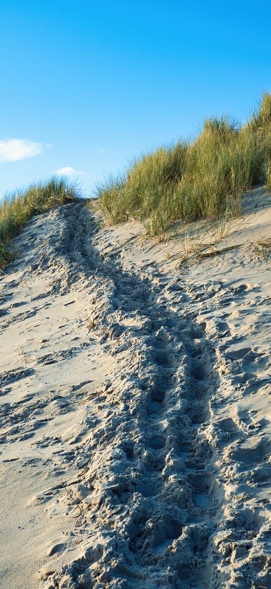 sand, footprints, relief, slope, grass