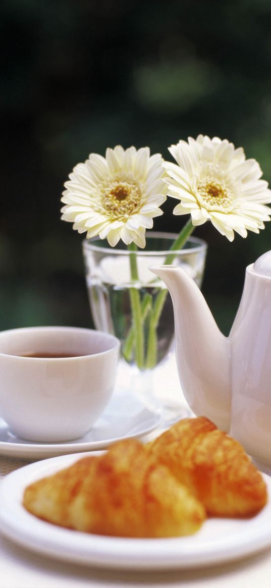 tea, table, garden, tea leaves, flowers, cup, glass, biscuits