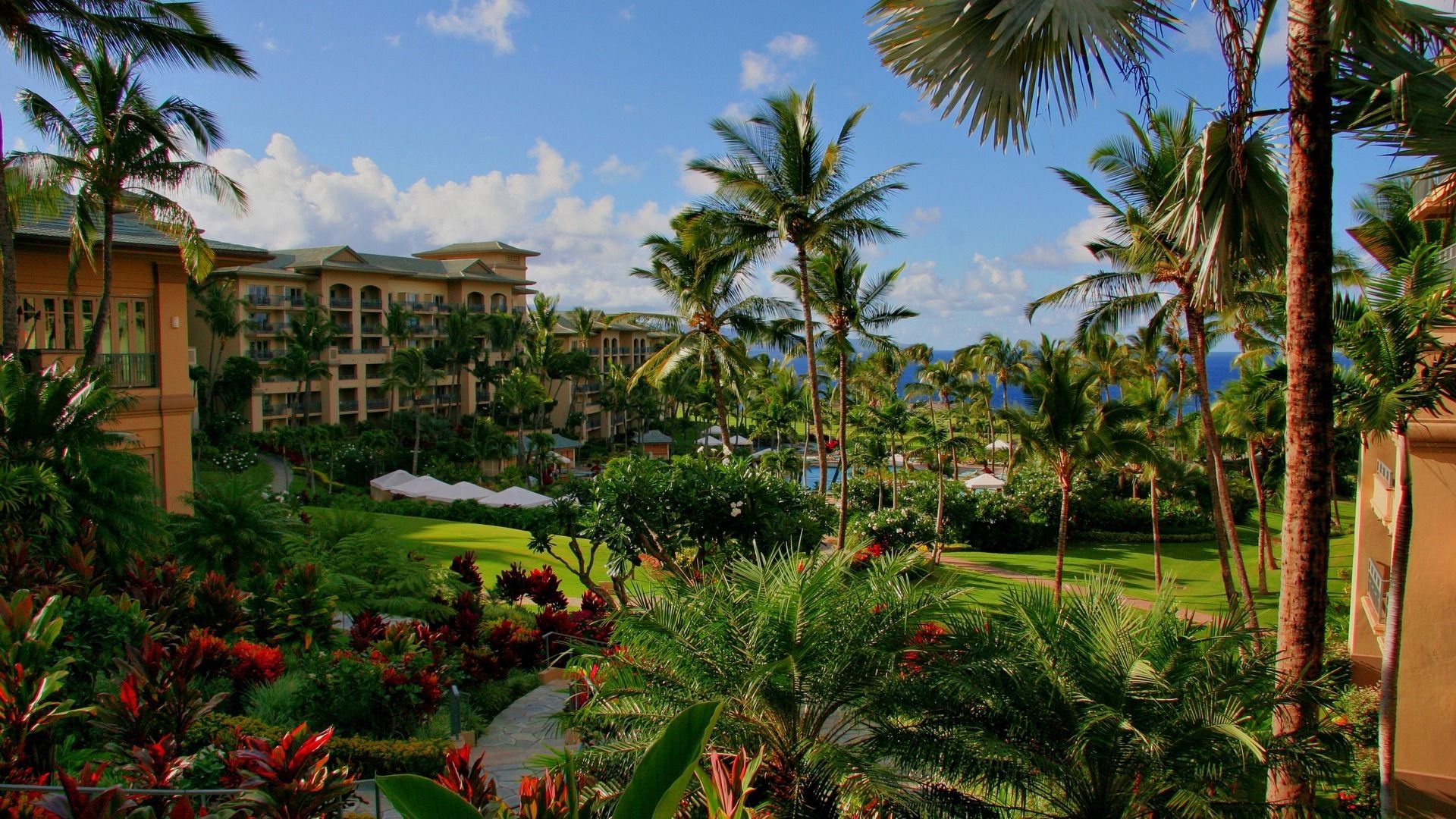 hawaii, hotel, palm trees, swimming pool, sea, flowers