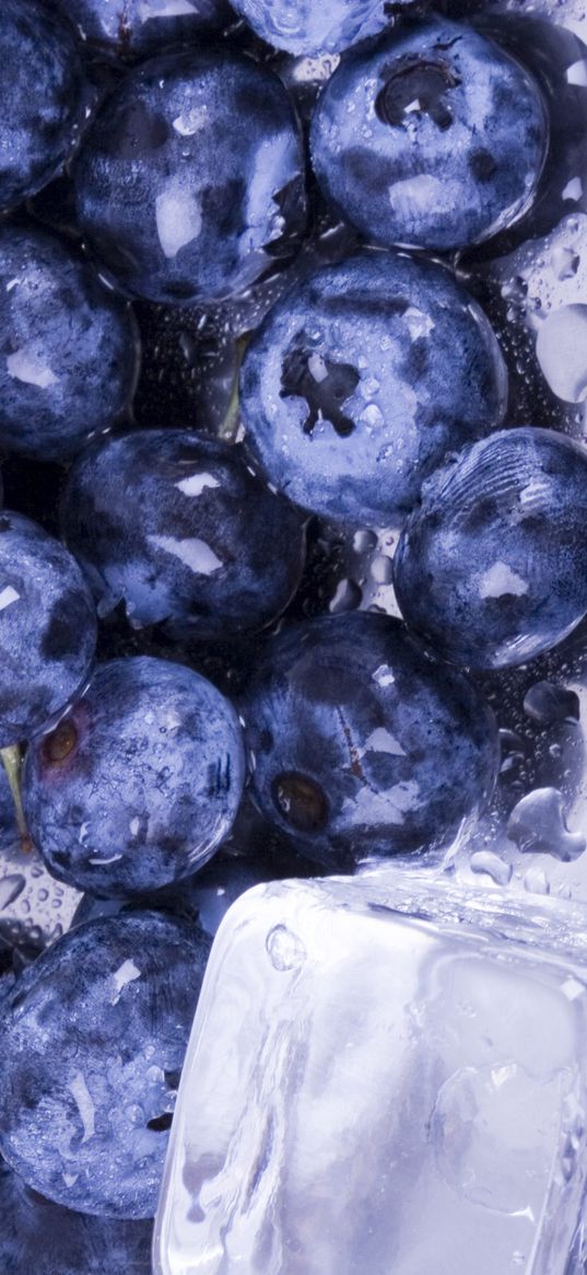 blueberries, ice, water, berries