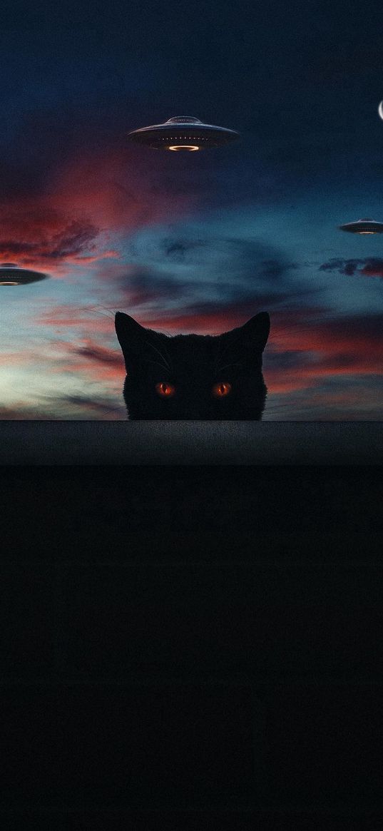 cat, wall, flying saucers, ufo, clouds, sky, moon, night, fiction, art