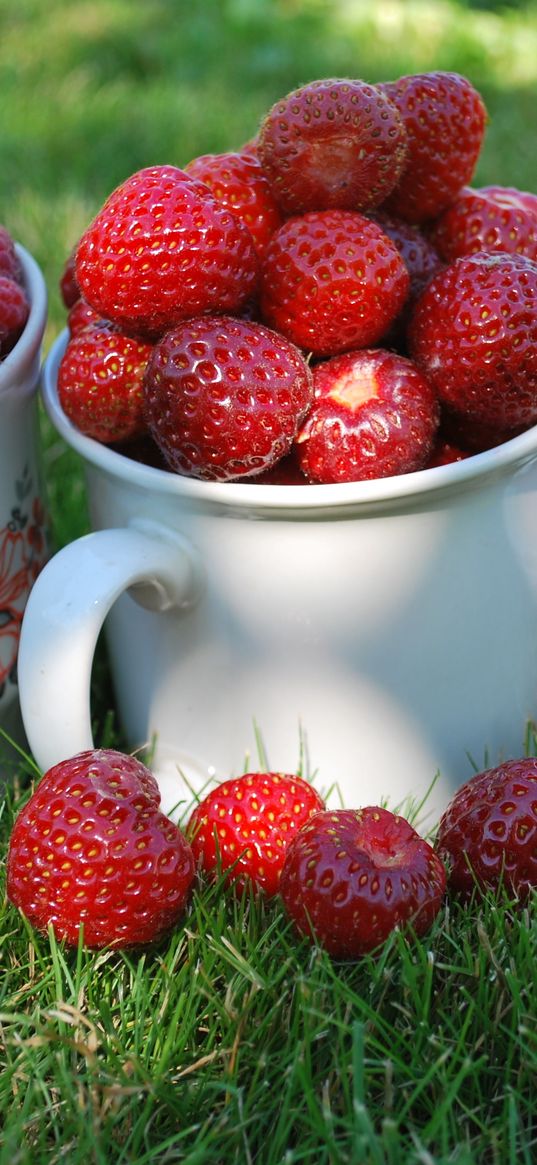 berries, raspberries, currants, red, strawberry, summer, mugs, cups, glass, grass, close-up