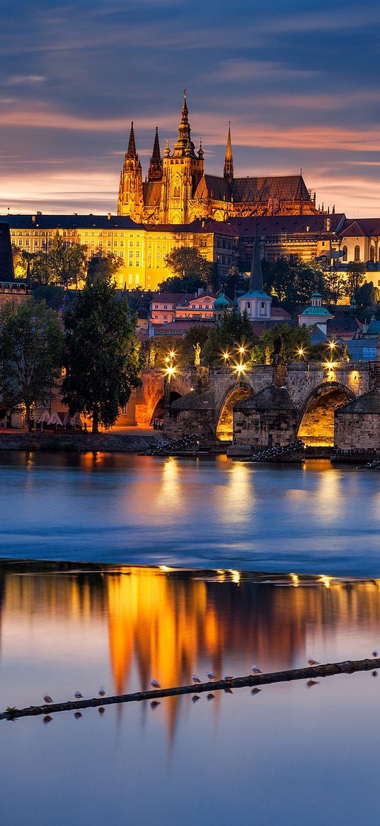 czech republic, czech, bridge, city, praha, prague