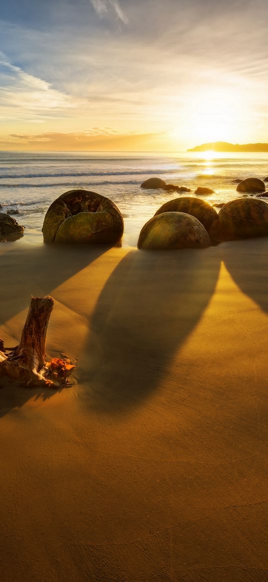 new zealand, ocean, sunrise, rocks, coastline