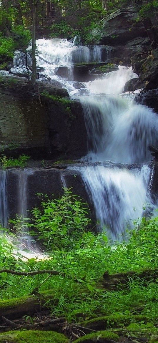 waterfall, forest, vegetation, nature