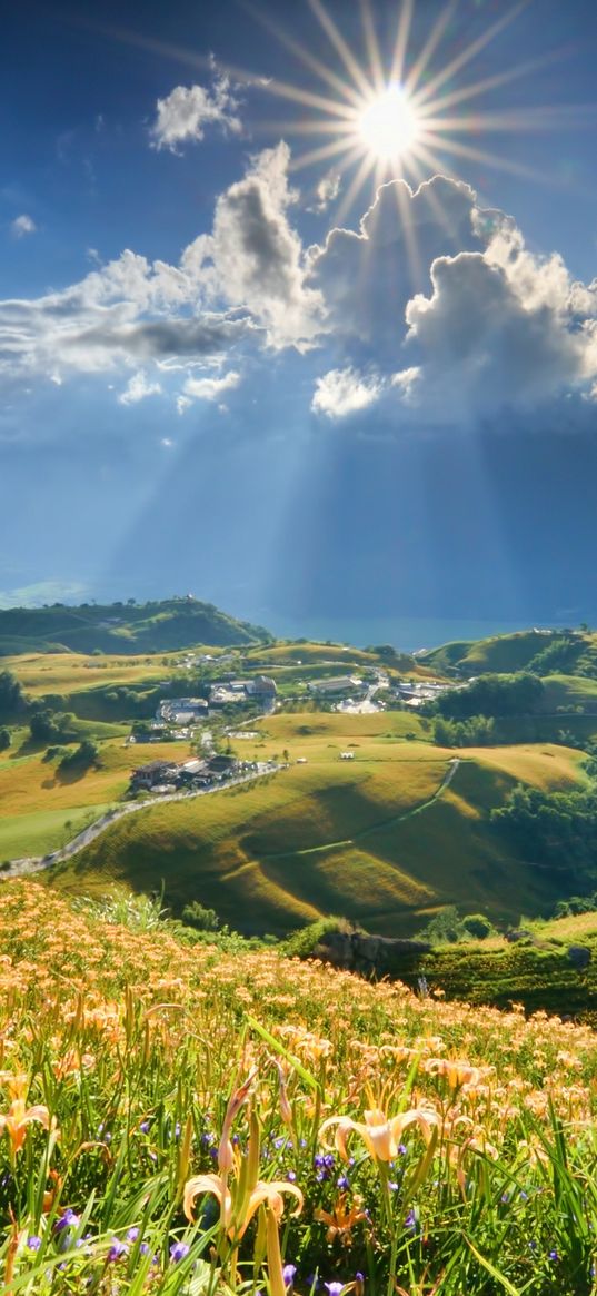 mountain, slope, flowers, lilies, sun, clouds, rays