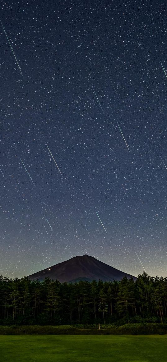 field, trees, forest, mountain, starfall, comets, starry sky, stars, night, nature