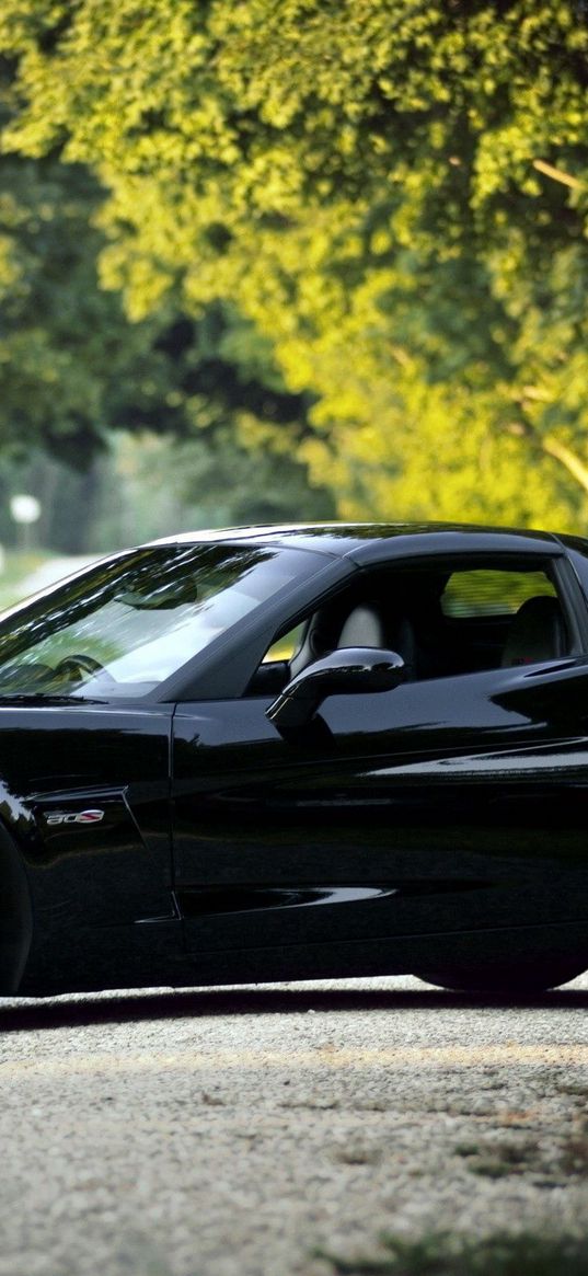 chevrolet corvette, black, nature, cars