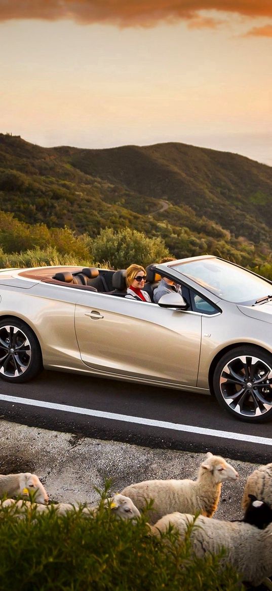 opel cascada, cars, sheep, road, sunset