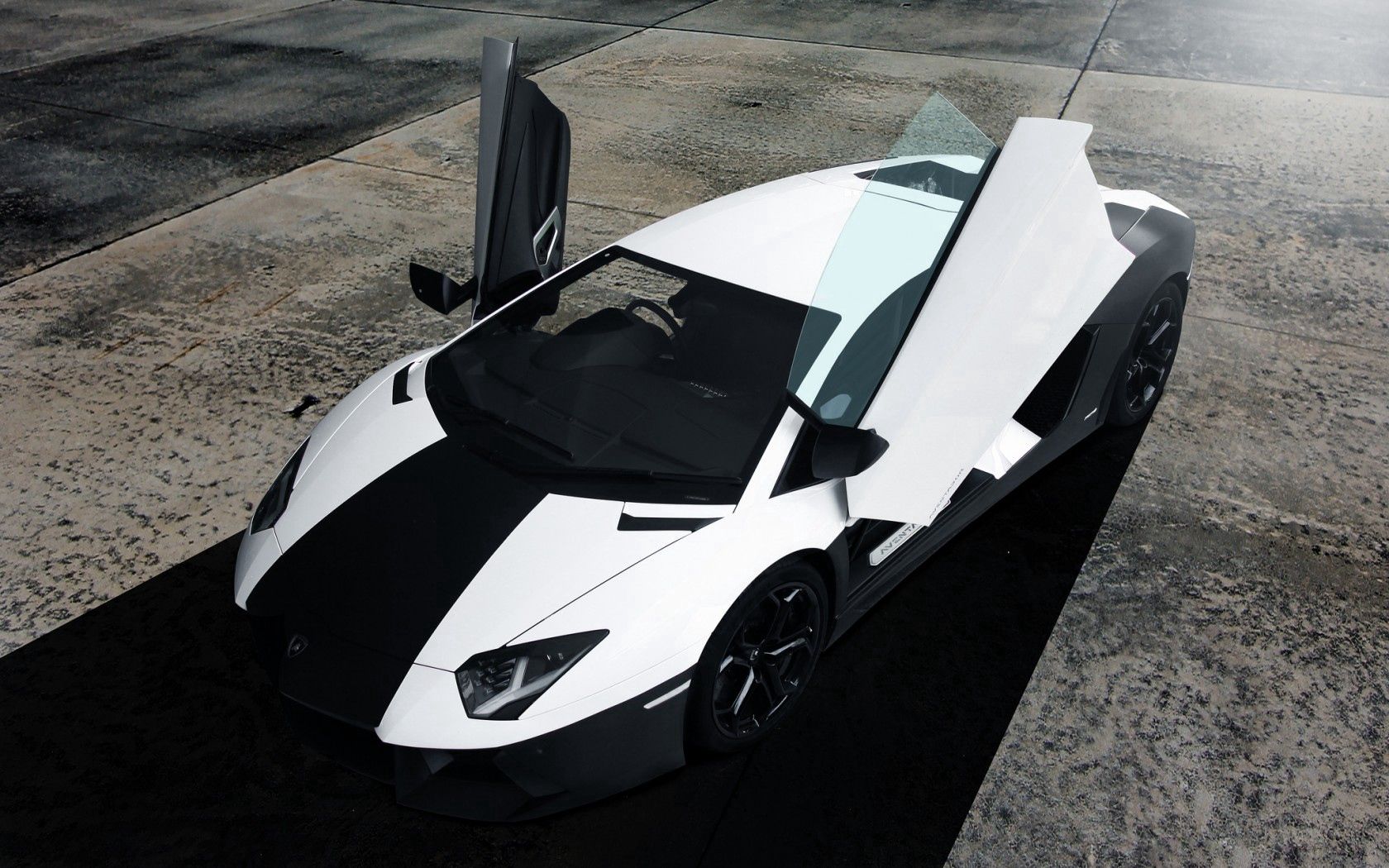 lamborghini aventador, front, white, black, lamborghini