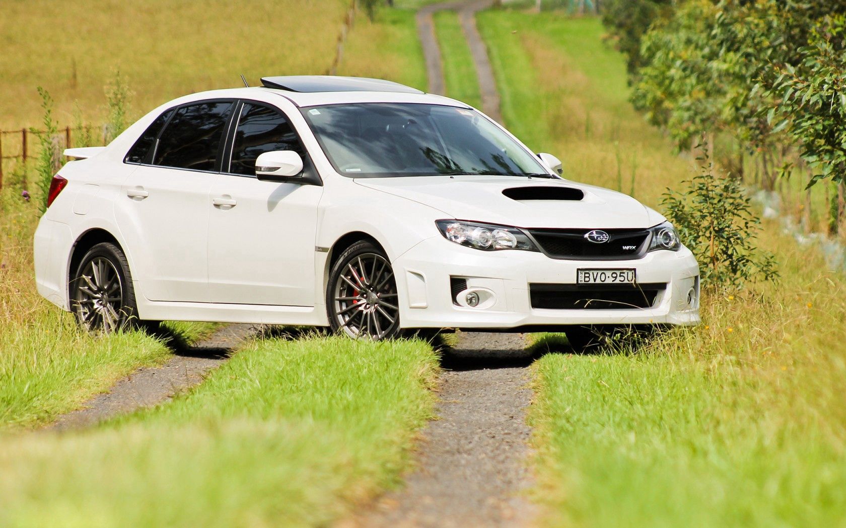 subaru, impreza, white, trail, trees, grass