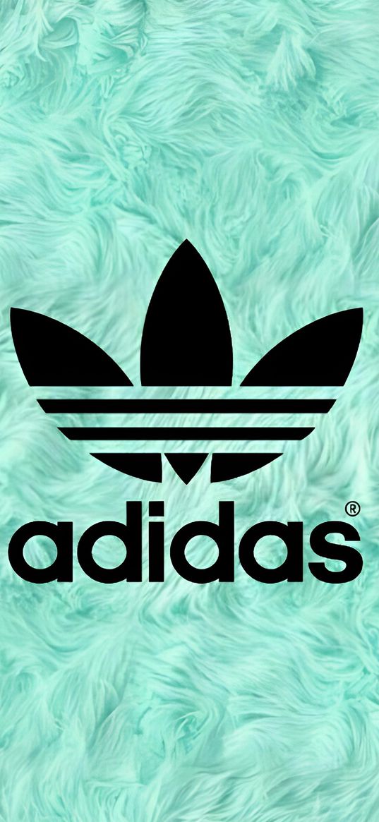 adidas, brand, inscription, fur, plush, turquoise