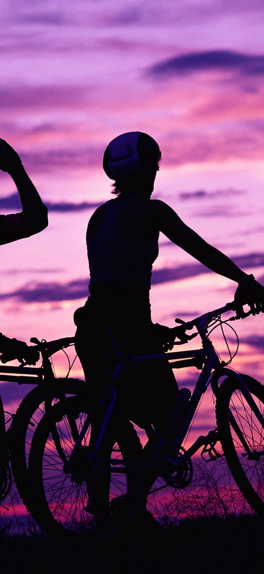 cyclists, leisure, sport, sunset