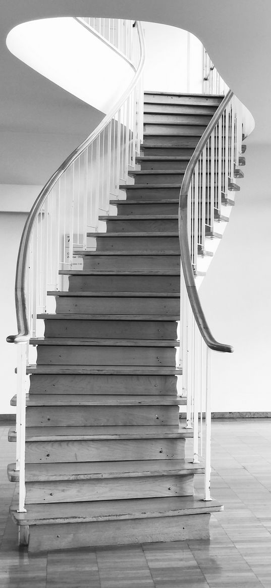 stairs, curve, wooden, black and white