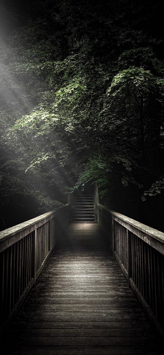 bridge, stairs, trees, branches, leaves, dark