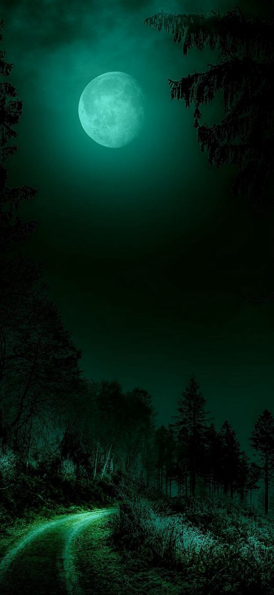 road, savannah, trees, forest, moon, green, landscape