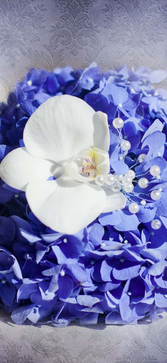 card, flowers, patterns