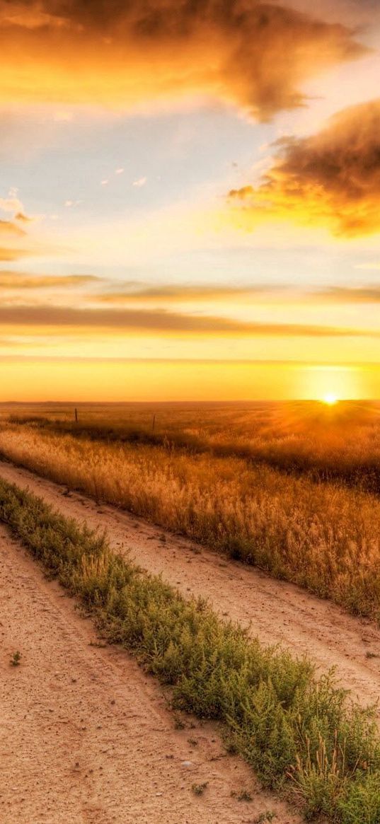 road, field, evening, horizon, sun, clouds, sky